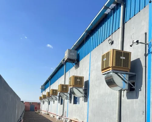 WhatsApp Image 2025-10-25 at 13.14.25